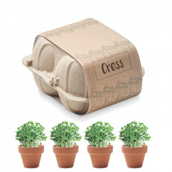 CRESS Saat-Set Kresse CRESS Saat-Set Kresse