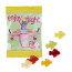 Vegane Fruchtgummi Standard-Formen 10 g im konventionellen Tütchen