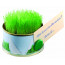 Minigarten Gras mit Magnet, Ø 73 x 38 mm, Zimmerrasen