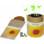 Natur-Bag Sonne, Zwergsonnenblume