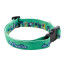Individuelles Hundehalsband Ziggy, weiß