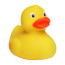Schnabels® Renn-Ente, mit Metallplatte