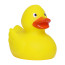 Schnabels® Renn-Ente, mit Metallplatte