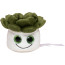 MiniFeet® Displayreiniger Schmoozies® Evergreenies® Sukkulente 