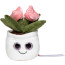 MiniFeet® Displayreiniger Schmoozies® Evergreenies® Tulpe 
