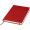Moleskine Classic Hardcover Notizbuch L – blanko, scharlachrot
