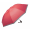 Reflektierender Regenschirm Thunder, rot