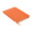 NOTE RPET DIN A5 Notizbuch 600D RPET, orange