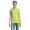 PERFECT WOMEN PERFECT WOMEN POLO 180, L, apfelgrün