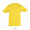 REGENT KINDER T-SHIRT 150g, 3XL, gold