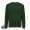 IQONIQ Etosha Lightweight Sweater aus recycelter Baumwolle, forest green