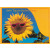 Samentütchen Sonne 115x156 mm, Zwergsonnenblume