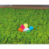/2/3/2348606_m_2_1.jpg