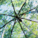 /a/c/ac-pocket-umbrella-fare--nature-black_cloud-design-5593_art_70_detail_238.jpg