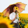 /a/c/ac-regular-umbrella-fare--motiv-sunflower-1198_artfarbe_2104_detail_2412_1.jpg