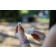 /p/3/p329.583__m_401__aed55d2b3d2544d29b1387b4573ca3d3.jpg