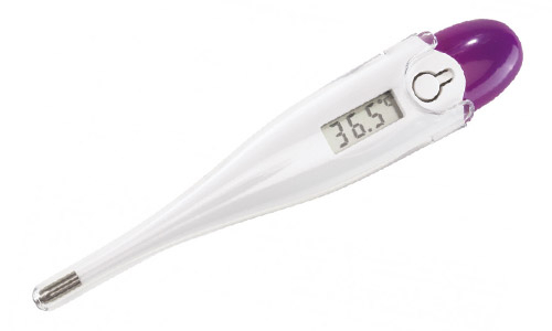 Werbegeschenk-Thermometer