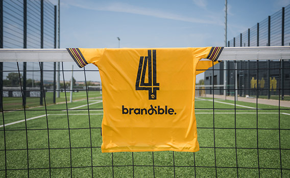 Dynamo Dresden und Brandible